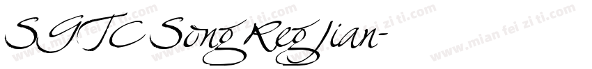 SGTC Song Reg Jian字体转换